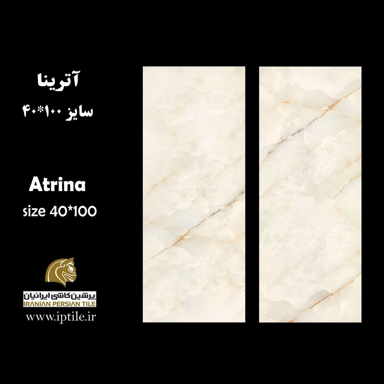 سرامیک پرسلان ۱۰۰*۴۰ آترینا شرکت پرشین کاشی ایرانیان   پرشین کاشی ایرانیان