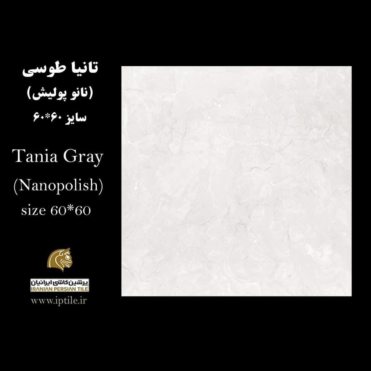 سرامیک پرسلان کف نانوپولیش تانیا طوسی ۶۰*۶۰ پرشین کاشی ایرانیان   پرشین کاشی ایرانیان