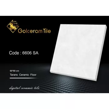 سرامیک کف ۶۰*۶۰ کد ۶۶۰۶ SA شرکت کاشی گلسرام اردکان  6606 SA