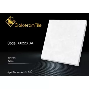 سرامیک کف  ۶۰*۶۰ کد ۶۶۲۲۳ SA شرکت کاشی گلسرام اردکان  66223  SA