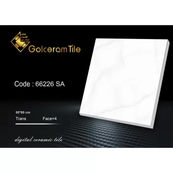سرامیک کف  ۶۰*۶۰ کد ۶۶۲۲۶ SA شرکت کاشی گلسرام اردکان  66226  SA