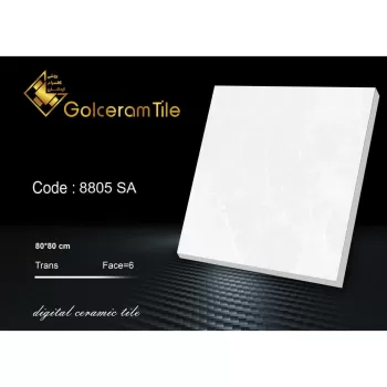 سرامیک کف  ۸۰*۸۰ کد ۸۸۰۵ SA شرکت کاشی گلسرام اردکان  8805 SA