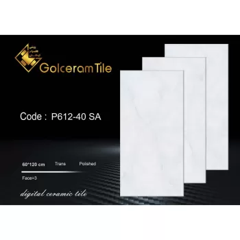 سرامیک نانوپولیش ۱۲۰*۶۰ کد P۶۱۲-۴۰ SA شرکت کاشی گلسرام اردکان  P612-40 SA
